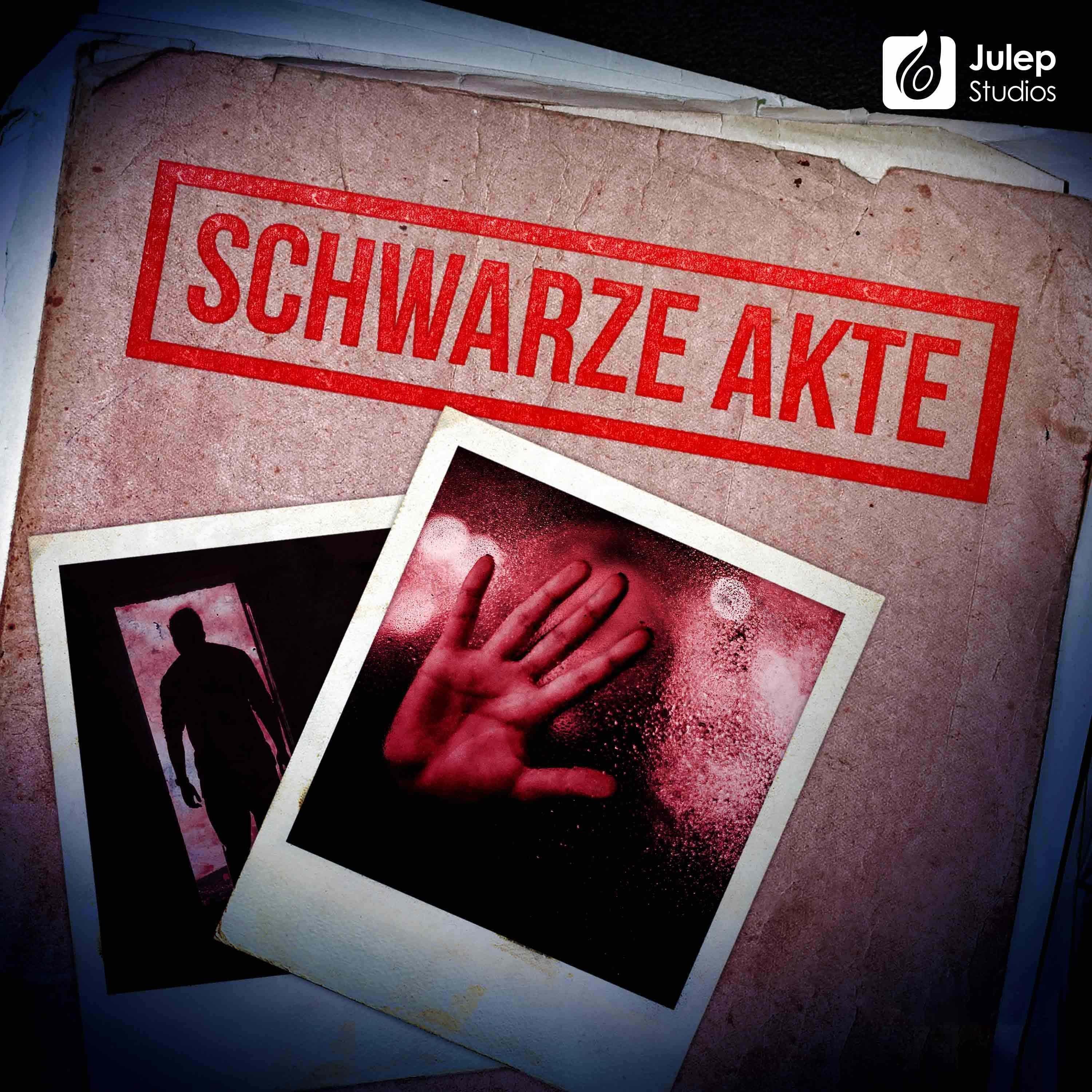 #252 Die Puppe im Morgengrauen - Das Rätsel um Peggy und Tim